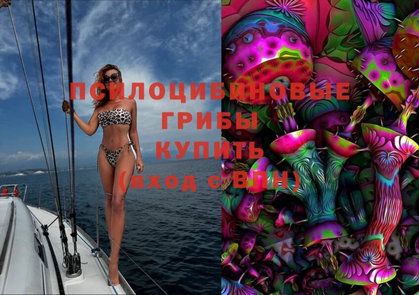 шишки Абдулино