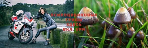 мет Алексин